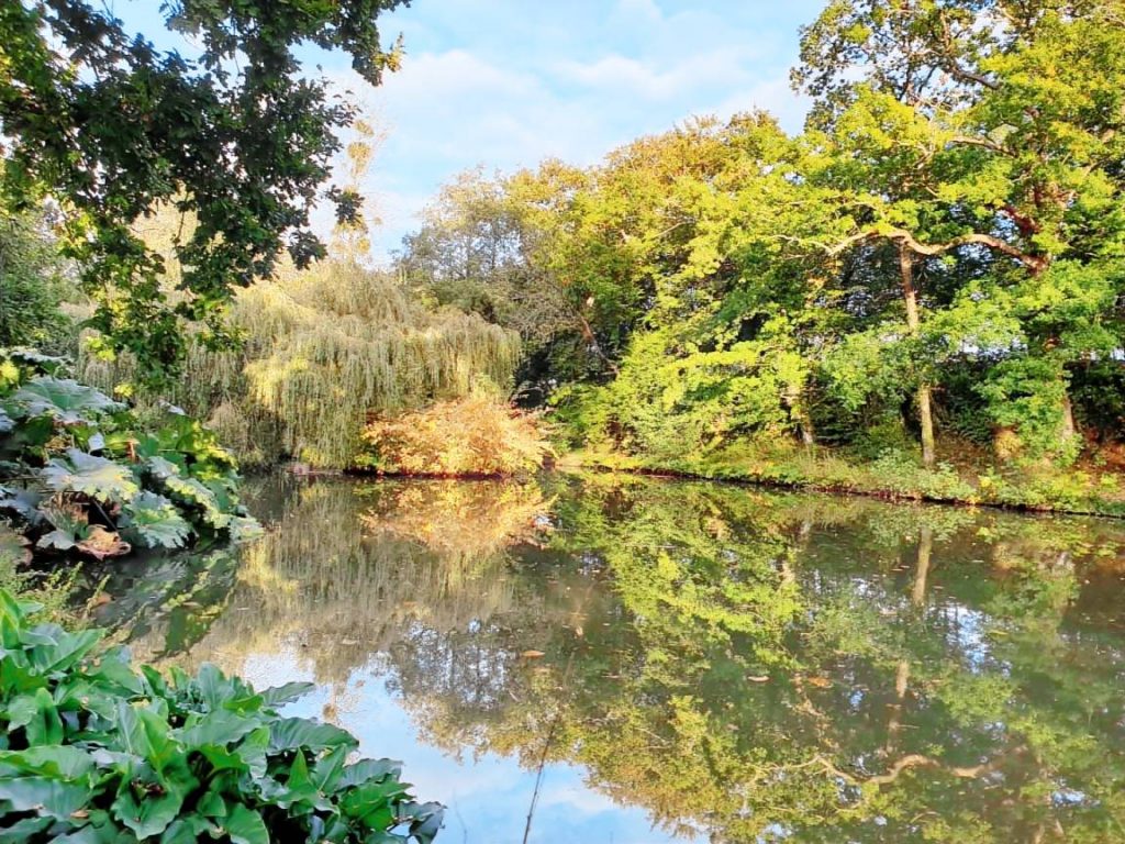 Saint-Sauveur-le-Vicomte, meuble de tourisme magique