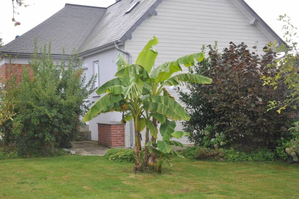 Gîte à louer proche de la mer pour 4 pers